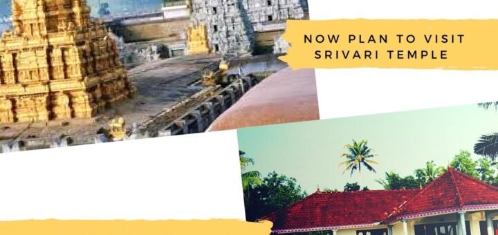 Yellow Modern Retail Store Sale Photo Collage