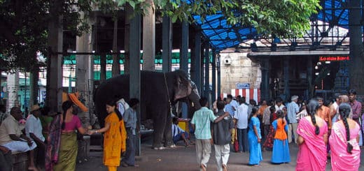 Elephant_and_bustle_of_Sri_Kalahasti_temple