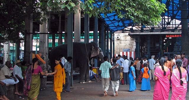 Elephant_and_bustle_of_Sri_Kalahasti_temple